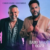 Bailo Vivo y Gozo artwork