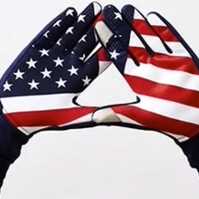 Great Reset (feat. Brandon Gloe, Alienman & Wild Gloe) - Single