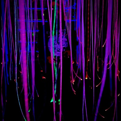 TikTokSound - Single