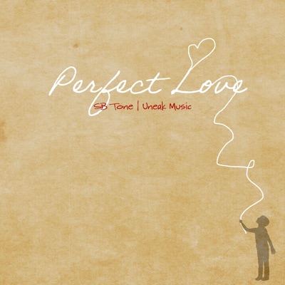 Perfect Love (feat. Sb Tone) - Single