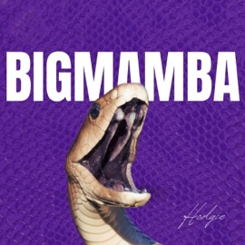 Big Mamba Hodgie