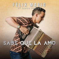 Sabe Que La Amo (feat. Joaco pertuz) - Single - Felix mario