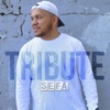 Tribute - Single