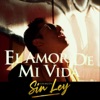 El Amor de Mi Vida - Single