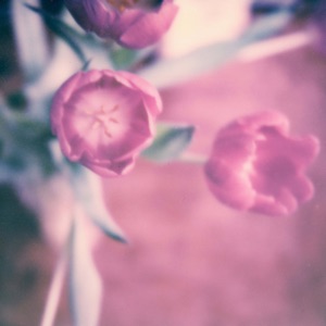 Begin Again - Single