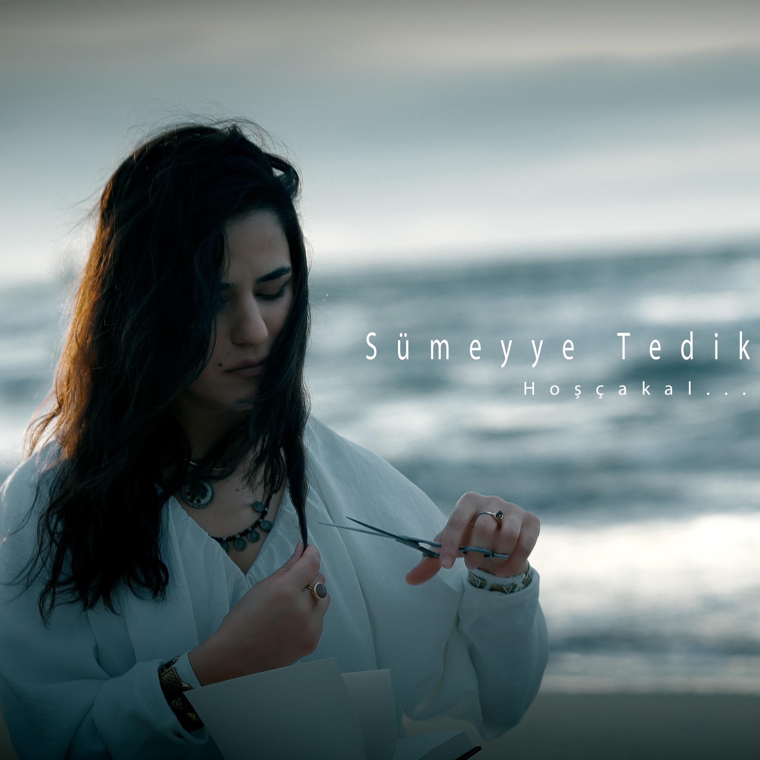Hoşçakal - Single