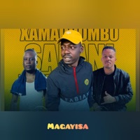 Magayisa - Single - Salani the producer