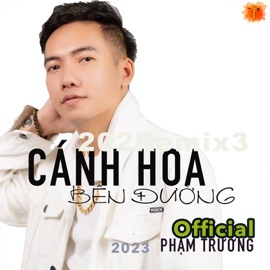 Cánh Hoa Bên Đường Phạm Trưởng