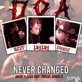 Never Changed (feat. Dougie B) JayJay Flocka & Reef.finesse