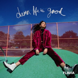 Damn Life Is Good FLAVIA