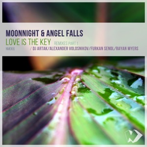 Love Is the Key (Remixes, Pt. 1) - EP
