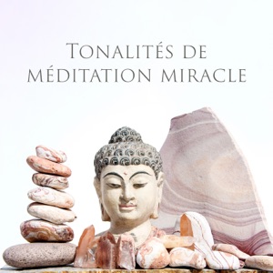 Tonalités de méditation miracle - 188 Hz – 576 Hz: Thérapie de régénération cellulaire, Désintoxication méditative, DNA Guérison complète du corps