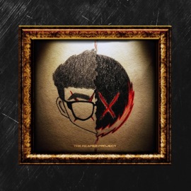 Baddies (feat. JRE & Ted Park) Salv