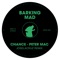 Chance (Joselacruz Remix) - Peter Mac lyrics