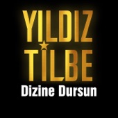 Dizine Dursun artwork