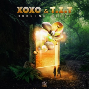 Morning Glory - Single