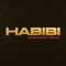 Habibi (Albanian Remix) - Ricky Rich & Dardan lyrics
