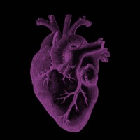 AD HONOREM (feat. Uno Solo, LLANY & F.C.) - Single - ILL SOLO