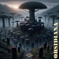 Obsidiana - Single - Toni nandes