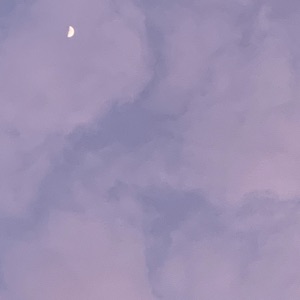 Lights Turn Low - Single