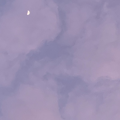 Lights Turn Low - Single