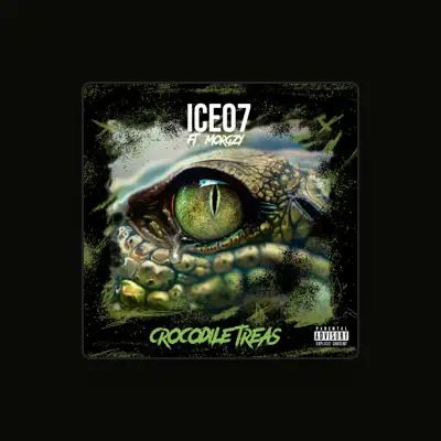 Listen to Ice07, watch music videos, read bio, see tour dates & more!