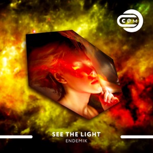See the Light - Single