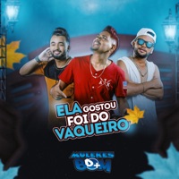 Ela Gostou Foi do Vaqueiro - Single - Mulekes Bom D+