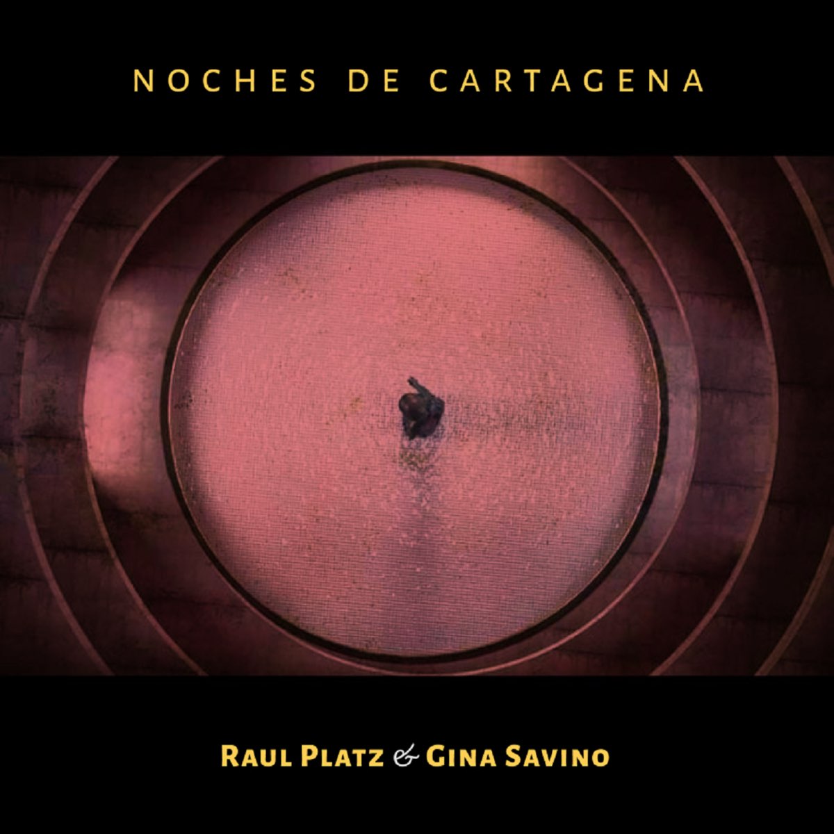‎Apple Music 上Raul Platz & Gina Savino的专辑《Noches de Cartagena - Single》