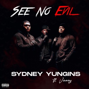 See No Evil (feat. Jaecy)