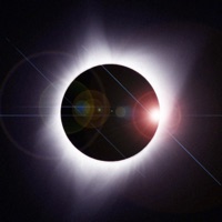 Into the Dark - Single - INVISIBLE KIDS