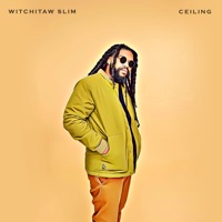 Ceiling - Single - Witchitaw Slim