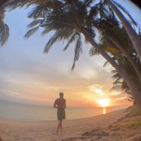 Winter unter Palmen - Single - julius & pelle