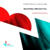 Secret Place / Why Don't You (Lisa Eline's Piano Reworks) - Single