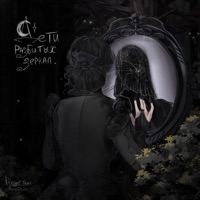 Дети разбитых зеркал (feat. Aniolitis) - Single - preger