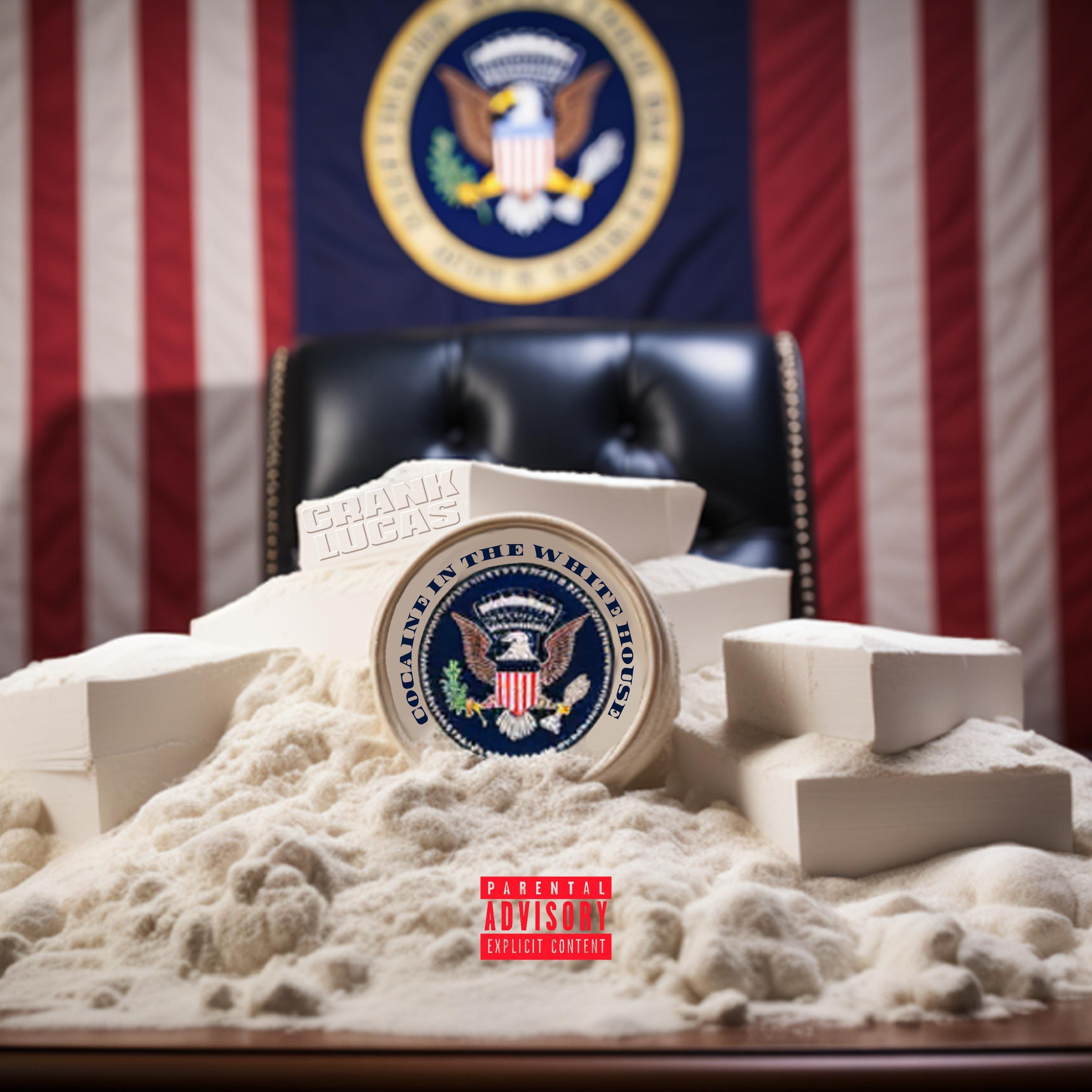 Cocaine In the White House - Single