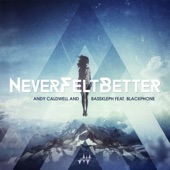 Never Felt Better (feat. Blackphone) artwork