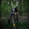 Seed of Faith (feat. Coldtear)