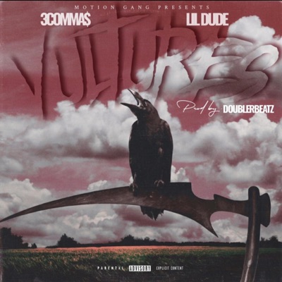 Vultures (feat. Lil Dude) - Single