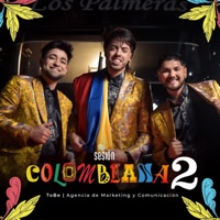 Mi razón de Ser/ El Pescador/ Cumbia Cienaguera (Sesión Colombiana #2) - Single - Palmae