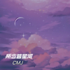 所念皆星河 - CMJ