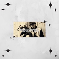 VielZuViel (feat. Lasslo & GB) [Single Version] - GalaxyBoy