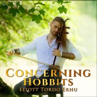 Concerning Hobbits - Single - Eliott Tordo Erhu