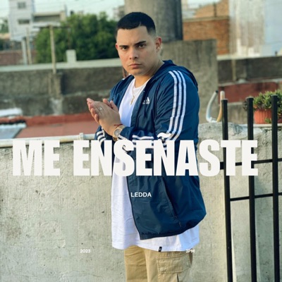 Me Enseñaste - Single