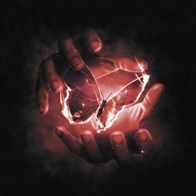 Live and Learn (feat. LN) - Single