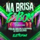Na Brisa Que É Bom Vs Cheiro do Skunk Eletrofunk feat Dj Feeh Ribeiro DJ VITOR LIRA Single