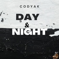 Day & Night - Single - Codyak