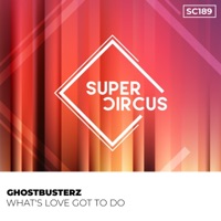 Whats Love Got to Do - Single - Ghostbusterz