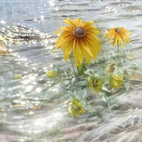 So Long - Single - Creange