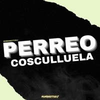 PERREO COSCULLUELA - Single - romancitodj